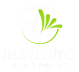 Instituto Ademir Paulino