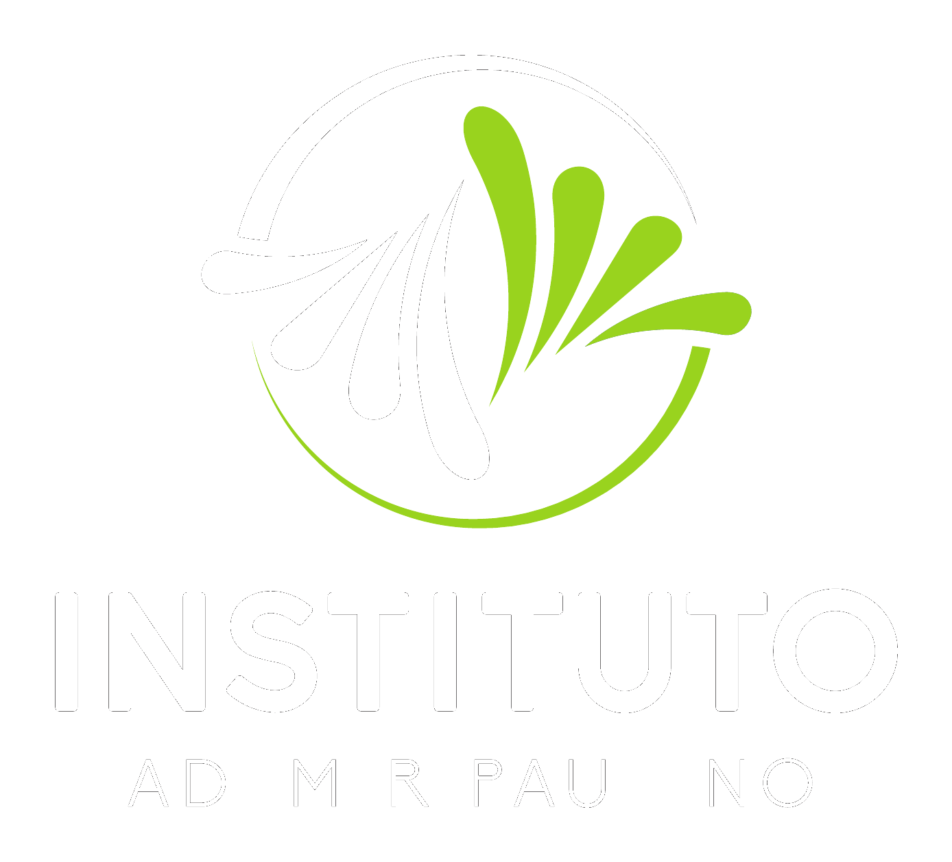 Instituto Ademir Paulino